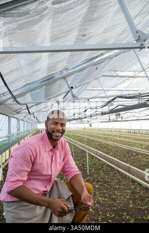 A man in a plant nursery stands in a greenhouse checking organic flowers on a tablet. The image highlights greenhouse cultivation, horticulture, and modern agriculture. Ideal for plant care, sustainability, and farming technology themes. Stock Photo