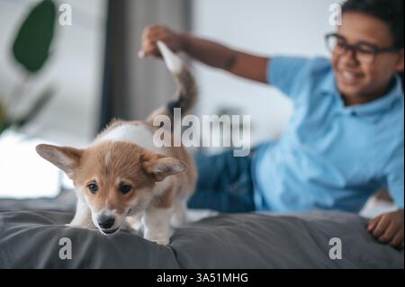 Pet owner scene featuring a cute dark-skinned boy with eyeglasses at home with his puppy. Warm, family-friendly imagery for lifestyle and pet themes. Stock Photo