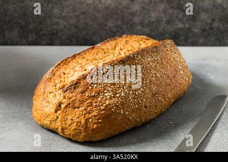 Organic Rustic Whole Grain Italian Bread Loaf Ready to Cut Stock Photo