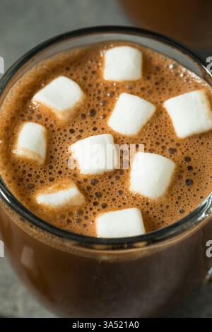 Sweet Warm Homemade Hot Chocolate with Marshmallows in a Mug Stock Photo