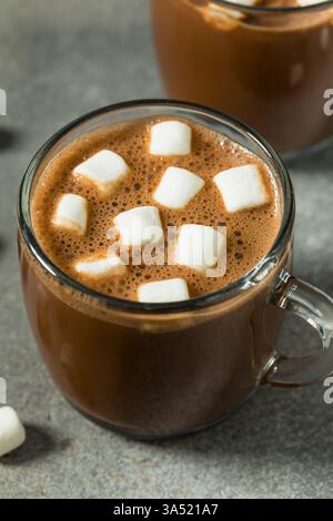 Sweet Warm Homemade Hot Chocolate with Marshmallows in a Mug Stock Photo