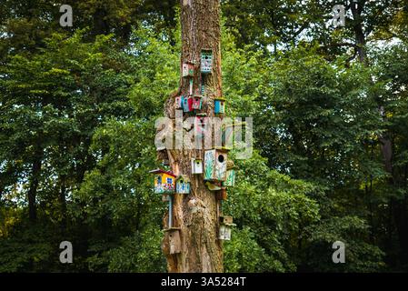 Many Colorful Bird Nesting Boxes on a Tree Trunk in the Forest Stock Photo