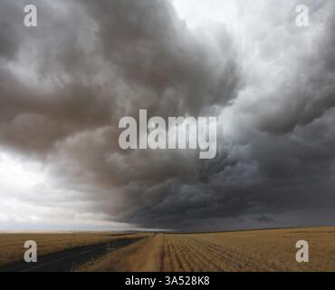 A huge storm cloud over the field after harvest in Montana Stock Photo