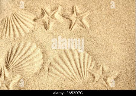 Top view of a sandy beach. Sand background. Imprints of mollusks and starfish in the sand. Sandy beach concept. Stock Photo