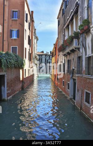 Eternal fantastic Venice. Narrow street - channel. In water the dark blue sky is reflected Stock Photo