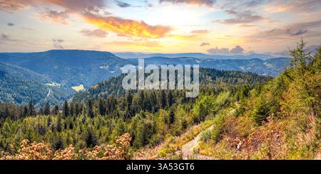 Lake Mummelsee, Black Forest, Germany Stock Photo