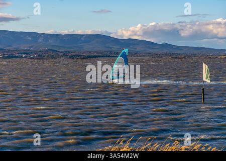 Windsurfer gliding at high speed on the Salses-Leucate pond on a windy day at sunset with golden sunlight illuminating the waves of the water, with sh Stock Photo