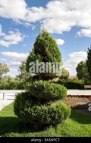 A cypress tree pruned in a spiral shape on. A background with blue sky and white clouds complements the ornamental gardening scene of a public park. Stock Photo