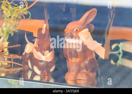 Two chocolate easter bunnies in a store display Stock Photo
