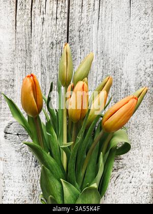 A bouquet of beautiful tulips perfect for Valentine's day, Birthday, Mother's day, wedding, anniversary isolated on wooden background. Copy space. Stock Photo