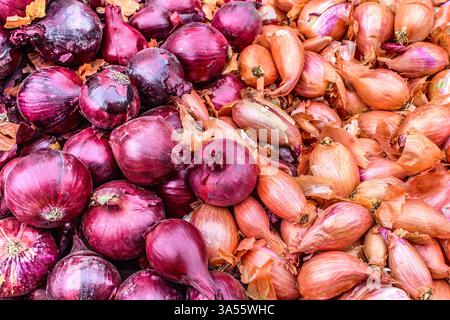 Red onions and shallots on market stall - Loches, Indre-et-Loire (37), France. Stock Photo