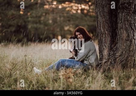 Deutsch-Kurzhaar-Labrador-Retriever Stock Photo