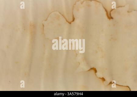 Versatile Textures: A High-Quality Paper Background Collection Stock Photo