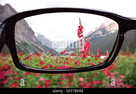 Looking through corrective eyeglasses lenses at lake Louise nature landscape with mountains and meadow flowers Stock Photo