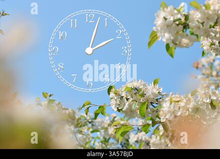 Spring blossom branches and blue sky with clock face, spring forward time change concept Stock Photo