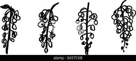 A series of four hand-drawn illustrations of hanging flowers, showcasing different styles and arrangements. Each flower cluster features elongated Stock Vector