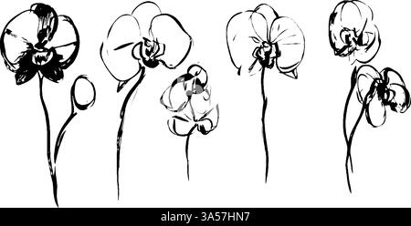 A series of five elegant sketches of orchids, showcasing their delicate petals and slender stems in a minimalist black and white style. Stock Vector