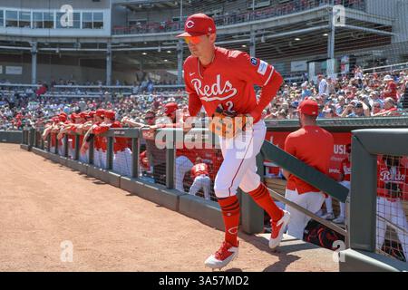 Cincinnati Reds’ Austin Hays runs the bases after hitting a home run