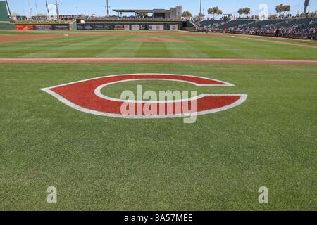 Cincinnati Reds logo at Goodyear Ballpark their spring training ...