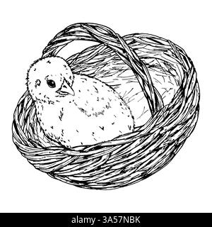 A black and white ink illustration of a chick sitting in a woven basket. A spring Easter theme, suitable for greeting cards, decor, digital products Stock Vector