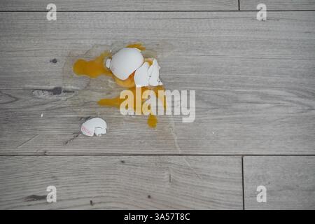 Close up white egg fall and broken on wooden floor. crushed egg Stock Photo