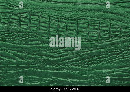 Crocodile genuine leather structure texture macro, green colored leatherette surface with metallic, pearlescent effect. Reptile skin close up, macro b Stock Photo