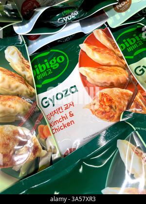 steamed-korean-kimchi-dumplings-mandu-on-green-rectangular-plate-with