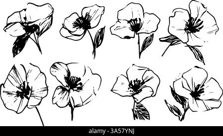 Hand-Drawn Poppy Flower Illustrations Stock Vector