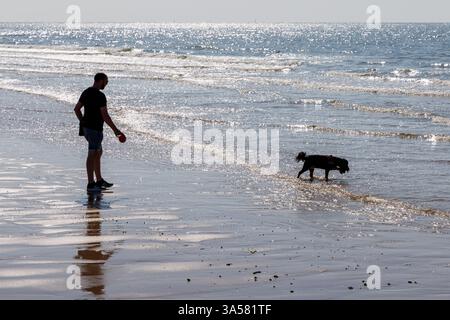 Man with dog on the beach at Ostend, Belgium Stock Photo