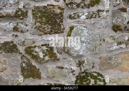 A wall made of stone with moss growing on it. The moss is green and white in color Stock Photo
