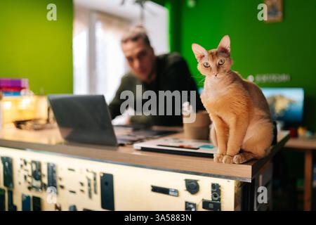 Computer technician examining damaged motherboard in electronics repair workshop, accompanied by cute ginger cat, curiosity looking at camera. Stock Photo