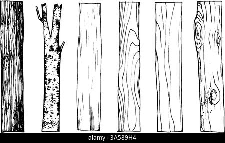A collection of various types of wood planks and a branch, showcasing different textures and patterns. The illustration highlights the natural Stock Vector