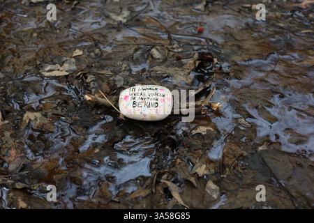 Be kind kindness rock on sticks on wet flooded forest floor after rainfall Stock Photo