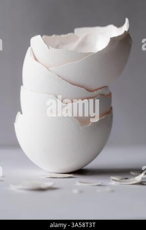 Stack of white eggshells with broken pieces in foreground on gray background, vertical Stock Photo