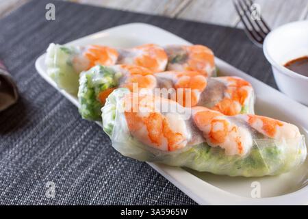 A view of a plate of spring rolls. Stock Photo