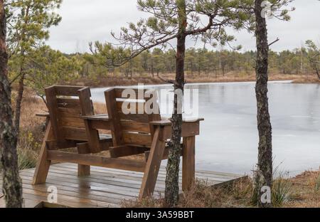 two wooden benches on a platform by a water-covered area surrounded by conifers. Stock Photo