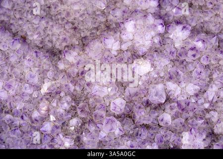 Close up of beautiful large violet Amethyst Cactus Quarz stone Stock Photo