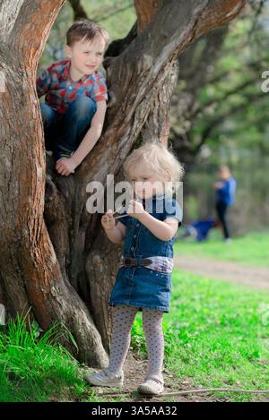Two children enjoying a sunny day in nature. One climbs a tree while the other examines a twig, showcasing curiosity and adventure. The park setting o Stock Photo