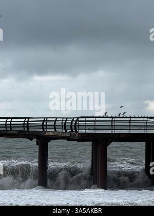 Rusty pier over stormy ocean with crashing waves and a flock of birds flying under a dark cloudy sky. Stock Photo