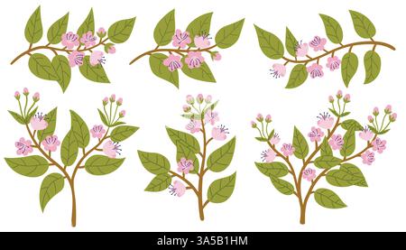 Set of Japanese cherry blossoms, spring flowers on branches. Cartoon collection of blooming tree branches. Stock Vector