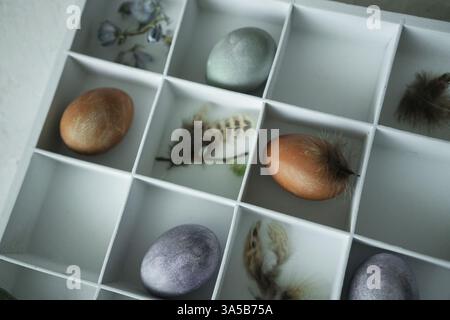 Easter eggs in a white box on a light background with feathers Stock Photo