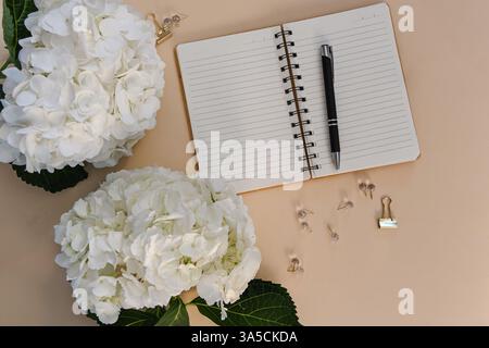 White hydrangea flowers with notebook, pen and stationery on beige background. Beautiful background with space for text. Close up, copy space. Stock Photo
