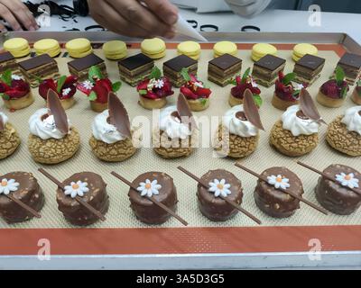 A variety of colorful bakery products, including pastries and desserts, are neatly arranged on a tray in a bakery environment. Stock Photo