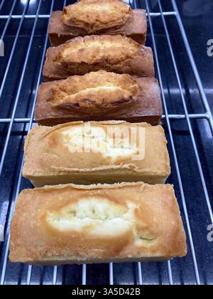 Several golden-brown loaf cakes sit cooling on a wire rack, showcasing various textures and flavors in a warm bakery environment. Stock Photo