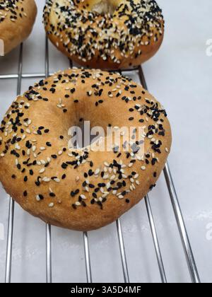 Bagels topped with white and black sesame seeds are cooling on a wire rack in a warm bakery setting. Stock Photo