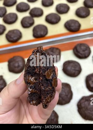 Hand of young hispanic man holding chocolate cookie over isolated blue background. Stock Photo