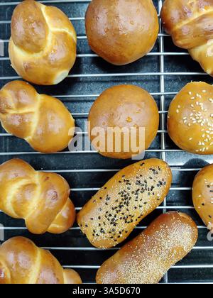 Freshly baked bread rolls and buns on a cooling rack, including knotted rolls and seeded buns. Stock Photo
