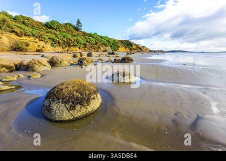 The South Island of New Zealand. Sandy beach on the Pacific Ocean. Moeraki boulders is a group of huge stones and their remains. The concept of exotic Stock Photo