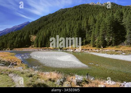 Autumn creek shallow. Austrian Alps. The narrow stream flows between fields and pine forests Stock Photo