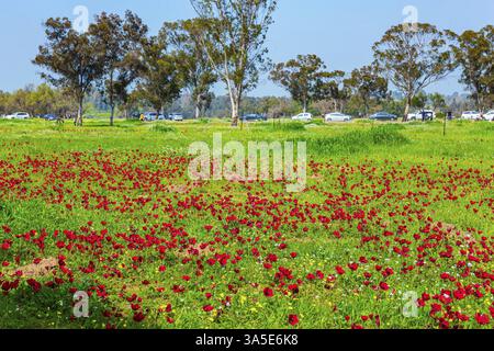 Neighborhoods of Kibbutz Be'eri Stock Photo - Alamy